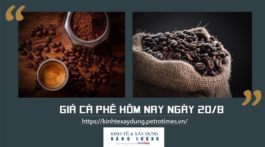 Giá cà phê hôm nay ngày 20/8: Trong khoảng 37.000 - 37.900 đồng/kg Giá cà phê hôm nay ngày 20/8: Trong nước giảm nhẹ