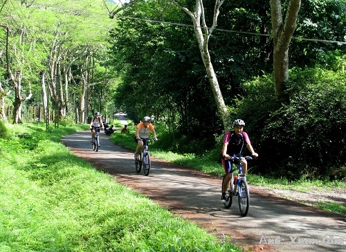 Ninh Bình – điểm đến hoàn hảo để du lịch chậm Ninh Bình - Điểm đến hoàn hảo để du lịch chậm