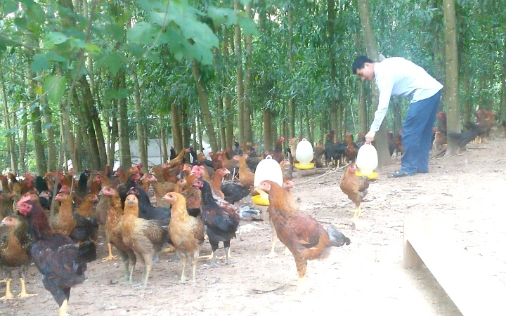 thai-nguyen-can-som-hoan-thien-thu-tuc-giao-dat-lam-nghiep-cho-nguoi-dan