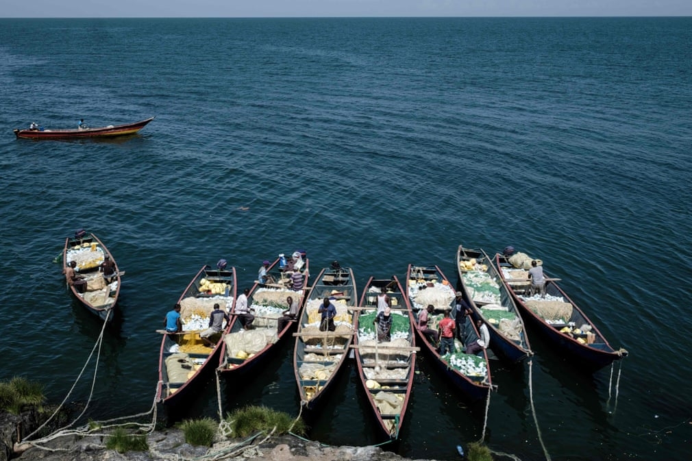 cuoc-song-chat-choi-o-hon-dao-nho-nhat-the-gioi-migingo-3
