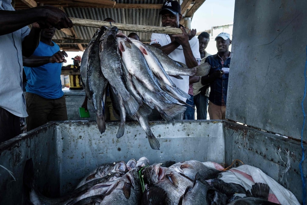 cuoc-song-chat-choi-o-hon-dao-nho-nhat-the-gioi-migingo-4