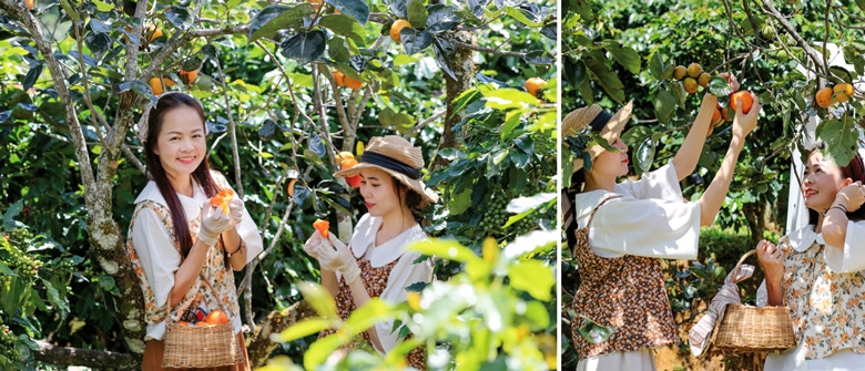 Trời thu dạo bước vườn hồng...
