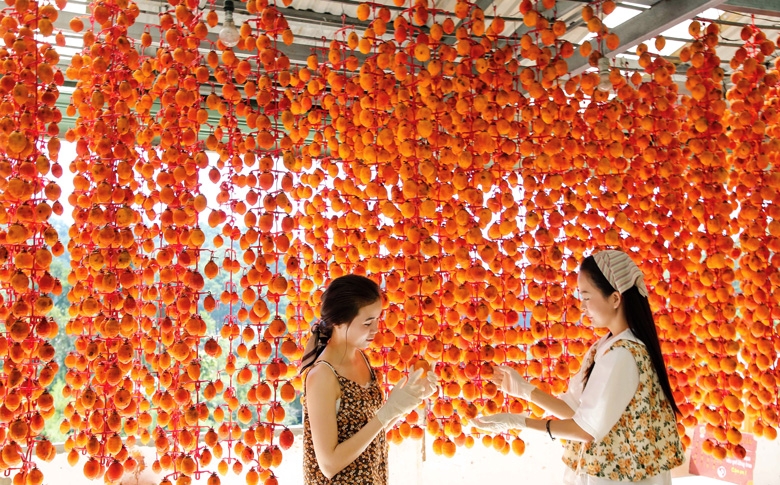 Trời thu dạo bước vườn hồng...