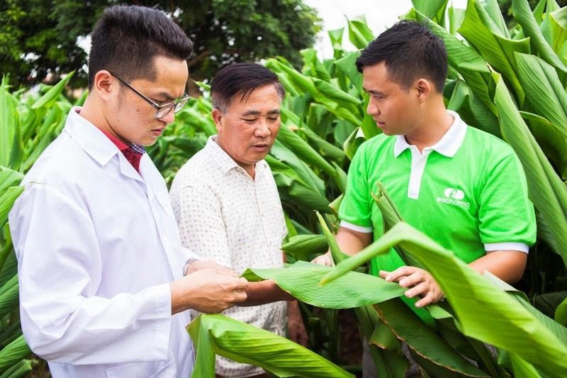 cong ty elepharma tien phong ung dung cong nghe cao vao duoc lieu co truyen
