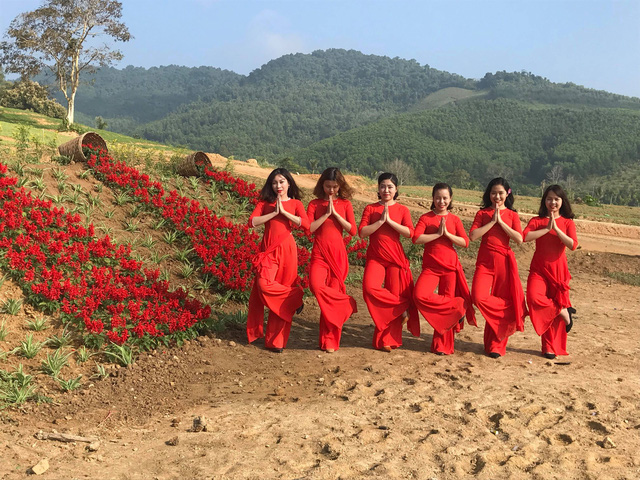 Nghệ An: Hàng vạn du khách đổ về cánh đồng hoa dịp Tết dương lịch nghe an hang van du khach do ve canh dong hoa dip tet duong lich