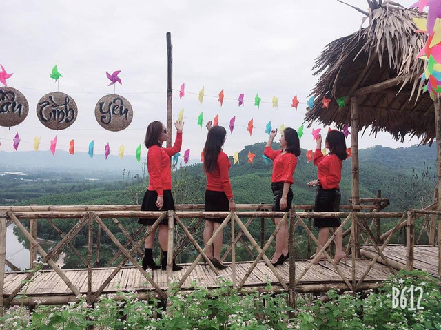 Nghệ An: Hàng vạn du khách đổ về cánh đồng hoa dịp Tết dương lịch nghe an hang van du khach do ve canh dong hoa dip tet duong lich