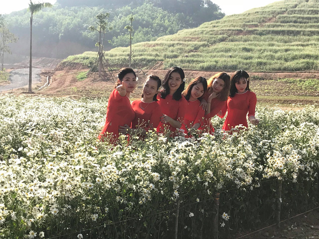 Nghệ An: Hàng vạn du khách đổ về cánh đồng hoa dịp Tết dương lịch nghe an hang van du khach do ve canh dong hoa dip tet duong lich