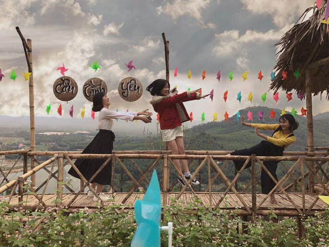 Nghệ An: Hàng vạn du khách đổ về cánh đồng hoa dịp Tết dương lịch nghe an hang van du khach do ve canh dong hoa dip tet duong lich