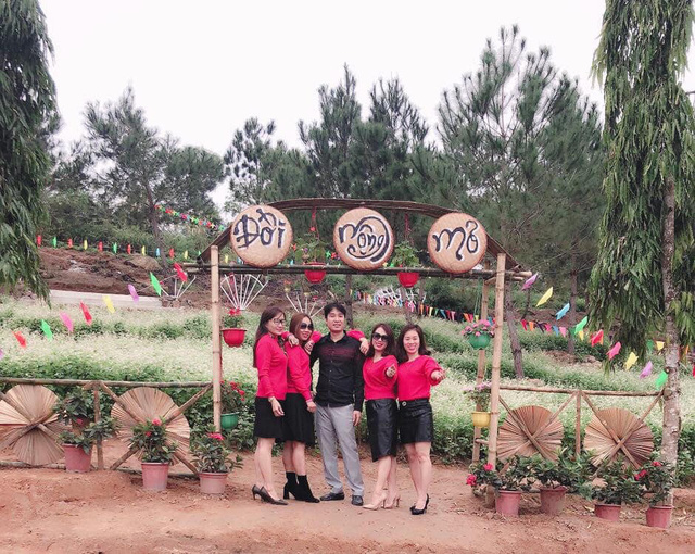 Nghệ An: Hàng vạn du khách đổ về cánh đồng hoa dịp Tết dương lịch nghe an hang van du khach do ve canh dong hoa dip tet duong lich