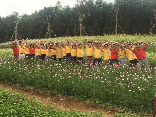 Nghệ An: Hàng vạn du khách đổ về cánh đồng hoa dịp Tết dương lịch nghe an hang van du khach do ve canh dong hoa dip tet duong lich