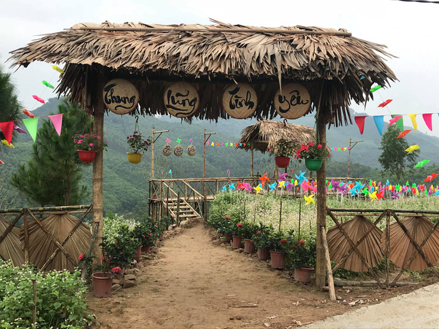 Nghệ An: Hàng vạn du khách đổ về cánh đồng hoa dịp Tết dương lịch nghe an hang van du khach do ve canh dong hoa dip tet duong lich