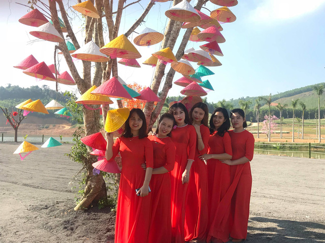 Nghệ An: Hàng vạn du khách đổ về cánh đồng hoa dịp Tết dương lịch nghe an hang van du khach do ve canh dong hoa dip tet duong lich