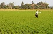 Thị trường phân bón Thái Lan tăng trưởng kép trong giai đoạn 2021-2026