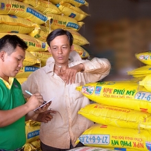 xu phat nang doi tuong san xuat phan bon gia kem chat luong