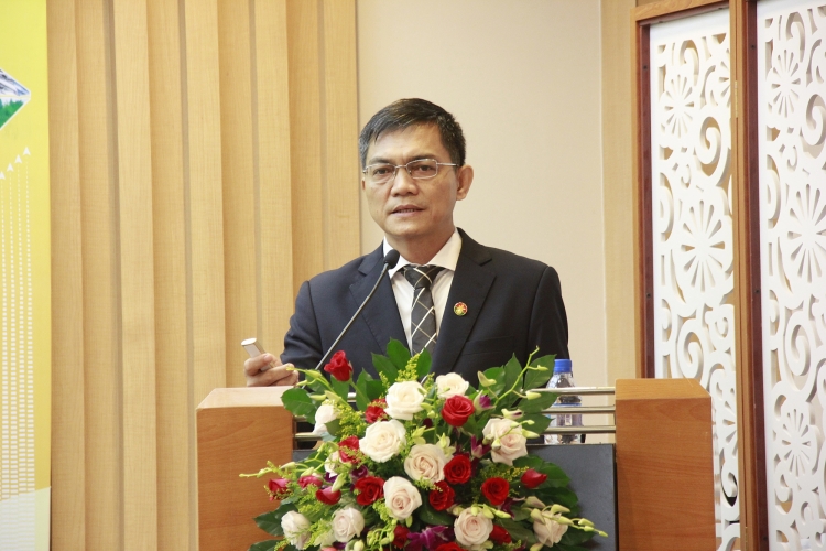 nam 2020 dcm dat ke hoach san xuat hon 1 trieu tan phan bon doanh thu gan 8000 ty dong