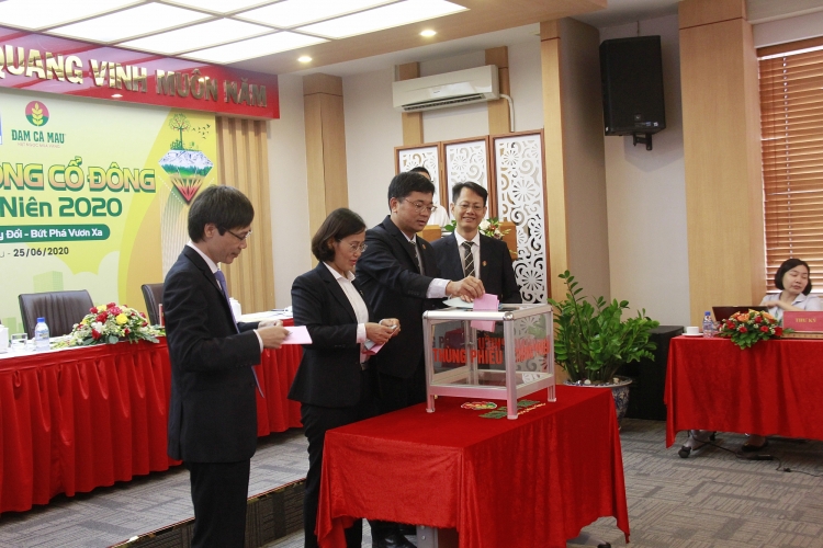 nam 2020 dcm dat ke hoach san xuat hon 1 trieu tan phan bon doanh thu gan 8000 ty dong