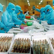 76 tổ chức kinh doanh Mỹ kiến nghị tháo bỏ rào cản thuế quan đối với Việt Nam