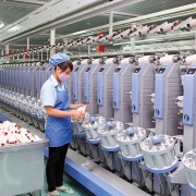 Chính thức áp thuế chống bán phá giá xơ sợi tổng hợp vào Việt Nam